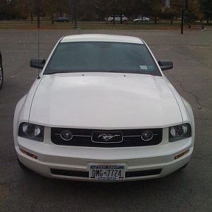 Pony Package Grille and Fogs