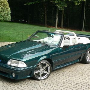 Mustang pics 024