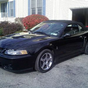 Stock outside