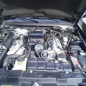 7940.jpg
