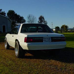 DSC00603