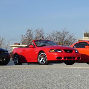 Three Cobra's