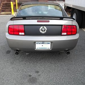 The view most people see of Buddy. Especially with the new dual exhaust. You wish you had these cutouts Jose.