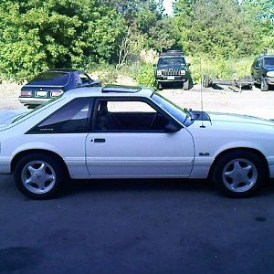93 stang