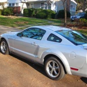 stang2