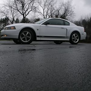 Just looks mean