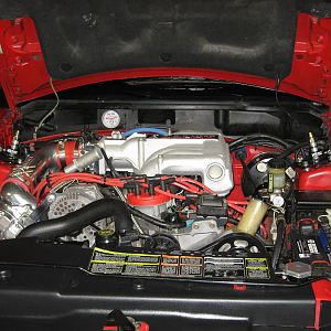 IMG 2747