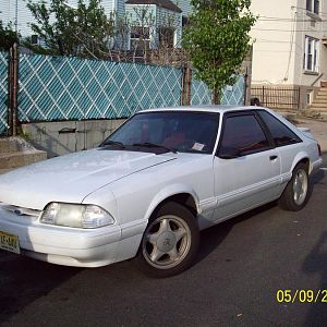 8975.jpg