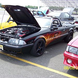 8979.jpg