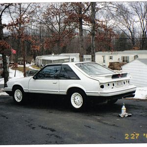 sec stang