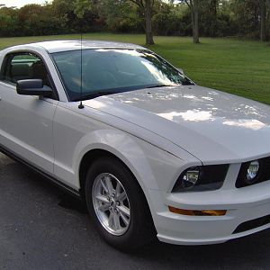 Mustang sig