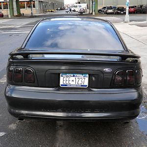 Mustang 032