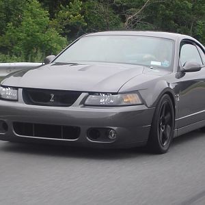 terminator cobra