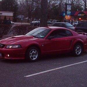 mustang side vew