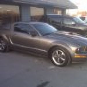 mustang