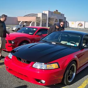 cobra2