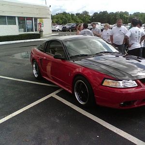 cobra