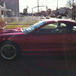My very first Cobra